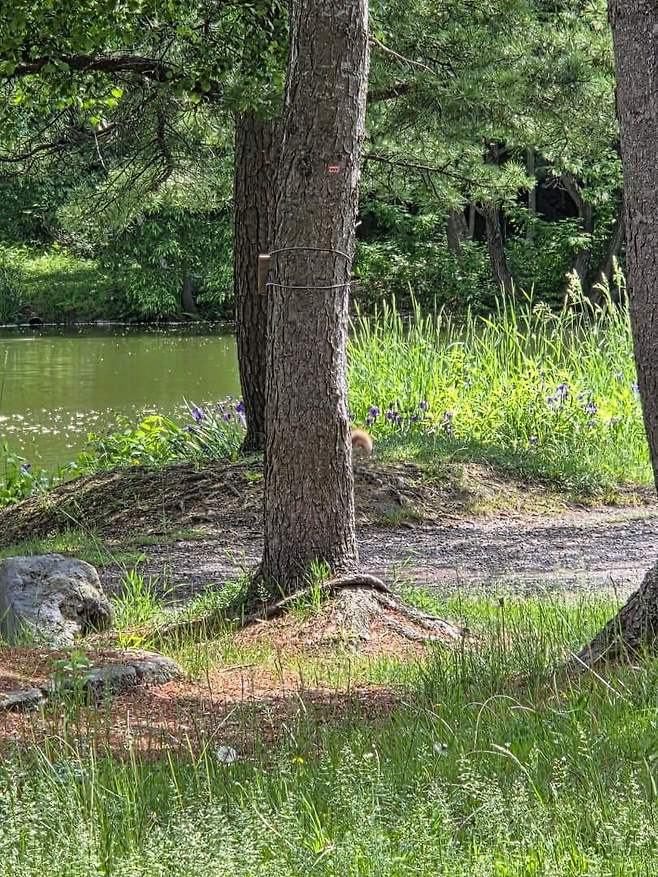 viewimage.php?id=23b2db27ebc637&no=24b0d769e1d32ca73de883fa1bd62531caf022a001a6328b8fcf4dbd347c71c7aaaad0c21bbd7a347ba6d198f20cc1999dbcd6c1648d1e2b7aa92aab97d247020ab1fc