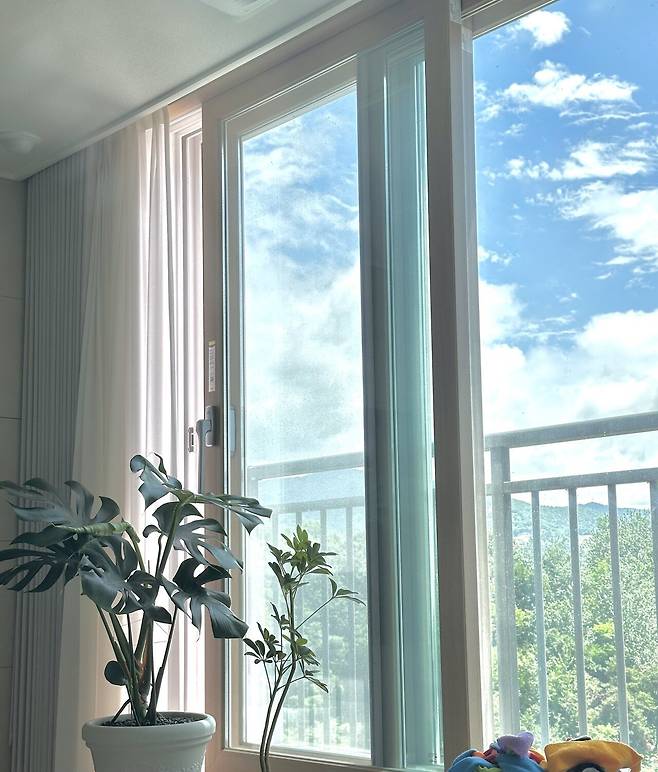 IMG_4539.jpeg 몬스테라