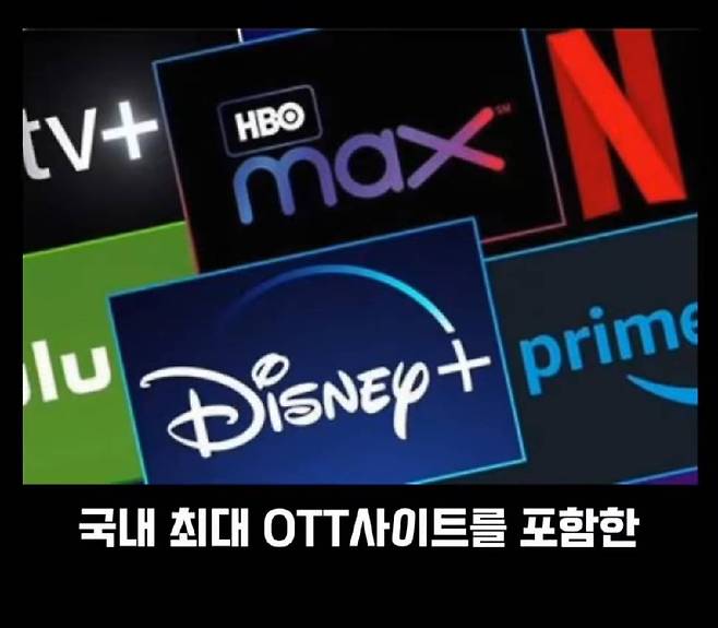 넷플릭스에서 성인인증을 매번 해야하는 이유