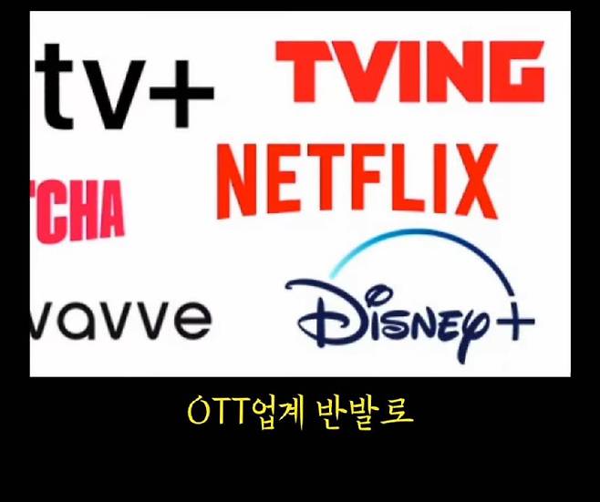 넷플릭스에서 성인인증을 매번 해야하는 이유