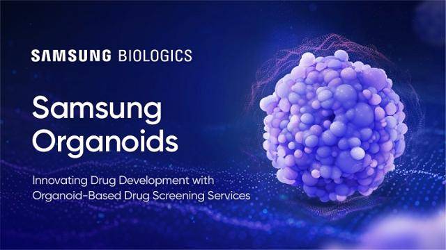 삼성바이오로직스의 오가노이드 서비스를 설명한 그림. 오른쪽 둥근 덩어리가 '미니 장기'라고도 불리는 오가노이드다. 삼성바이오로직스 제공