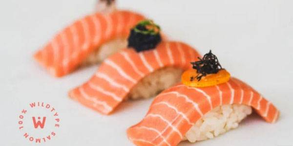 사진=와일드타입 제공