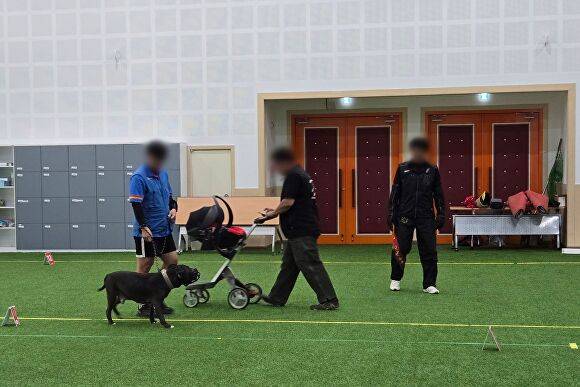 지난 14일 시흥시에서 열린 '맹견 기질평가' 모습. [사진=경기도]