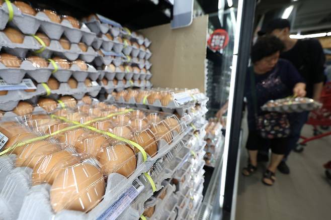 12일 서울 동대문구 롯데마트 청량리점에서 시민들이 계란을 고르고 있다. 연합뉴스
