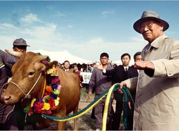 1998년 6월16일 현대그룹 창업주 정주영 회장이 소 500마리를 몰고 민간인 처음으로 판문점을 통해 방북길에 오른 모습./사진=통일부 판문점견학지원센터