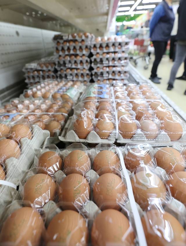지난 15일 서울의 한 대형마트에 최근 가격이 오르고 있는 달걀이 진열돼 있다. 연합뉴스