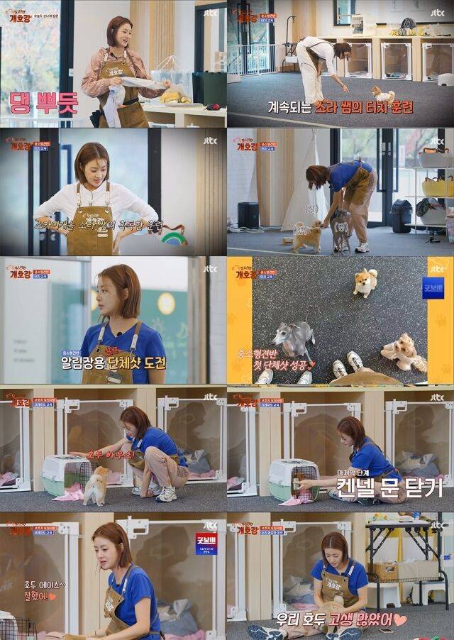 JTBC '집 나가면 개호강'/JTBC '집 나가면 개호강'