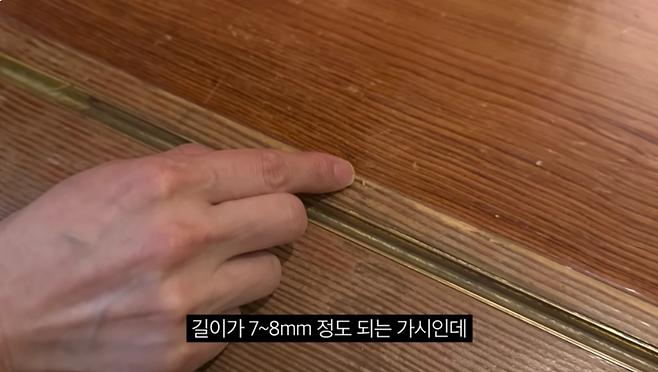 만화가 윤서인 씨가 일본 여행 중 묵은 료칸에서 아내가 가시에 찔렸다고 주장하며 올린 사진. [윤튜브 갈무리]