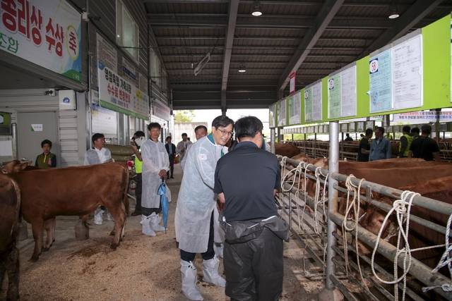 전남 영암에서 구제역 발생으로 설정된 이동제한 조치가 일부 농가를 제외하고 15일 해제됐다. 그동안 폐쇄됐던 영암 가축시장도 16일부터 재개장했다. 영암군