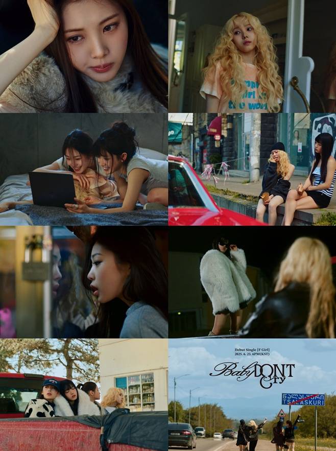 티브이데일리 포토