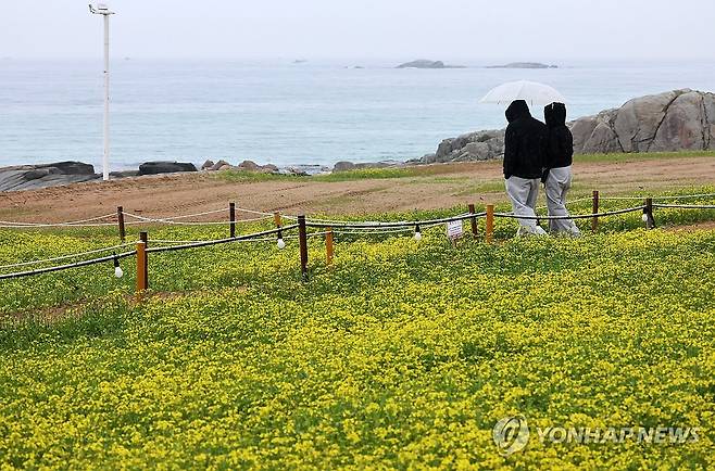 강릉 사근진해변 [촬영 유형재]