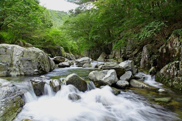 양산 내원사 계곡. /경남도