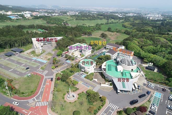 양지공원 전경.