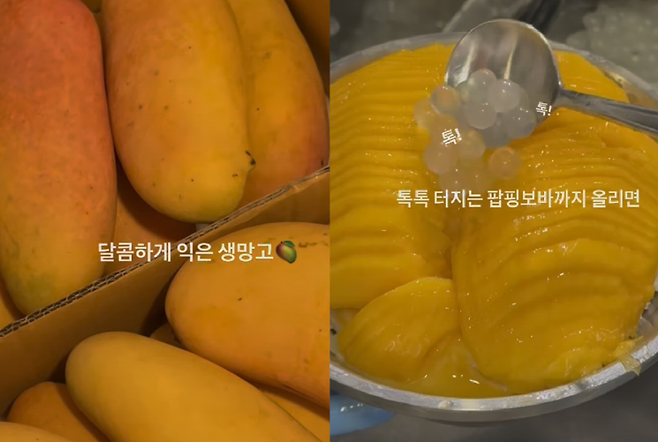 대전 빵집 성심당이 1만원대의 망고빙수를 판매 중이다. 성심당 SNS