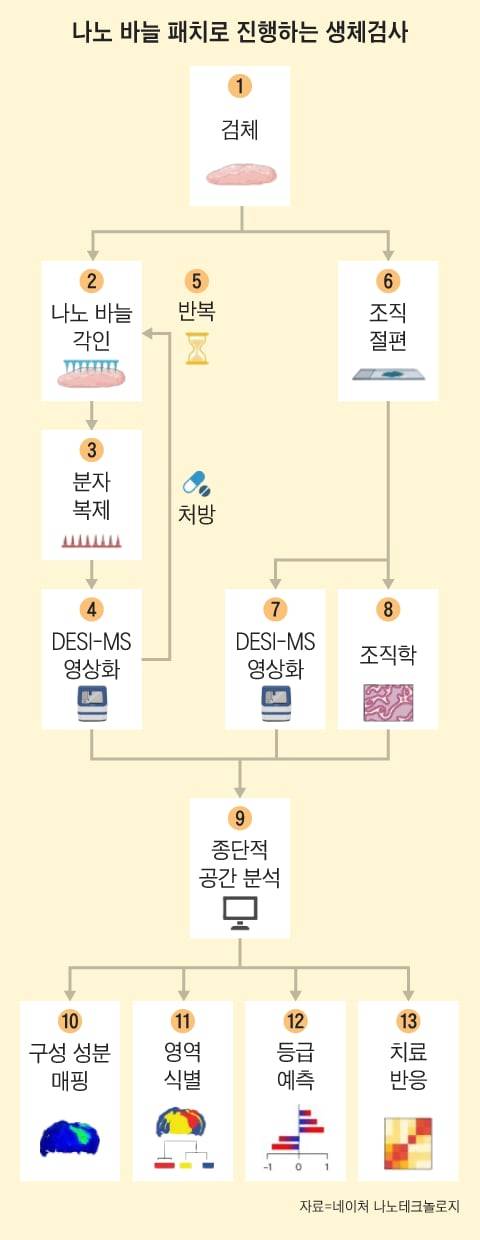 그래픽=조선디자인랩 김영재