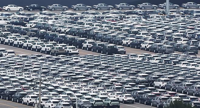 경기 평택시 포승읍 평택항 자동차전용부두에 수출용 차량들이 세워져 있다. /뉴스1