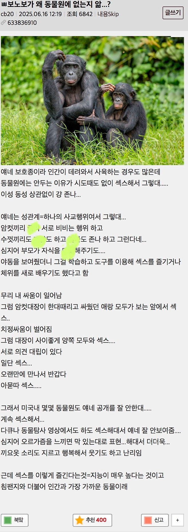 image.png 보노보가 왜 동물원에 없는지 앎??.jpg