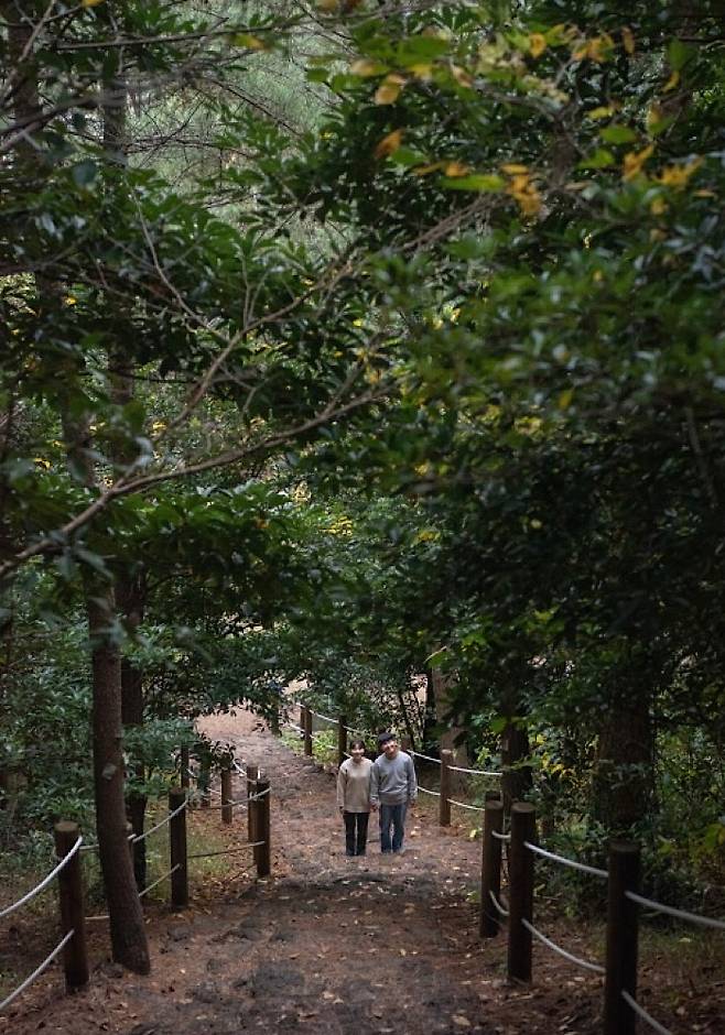 저지리 산책길. (제주관광공사 제공)