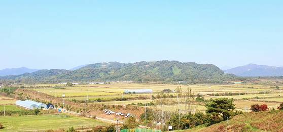 길게 뻗은 야트막한 백마고지, 주변의 들판이 철원평야다. [사진 김정탁]