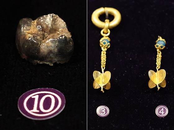 17일 서울 중구 한국의집에서 열린 ‘공주 무령왕릉과 왕릉원 조사성과’ 언론공개회에서 출토된 유물인 백제 23대왕 삼근왕의 어금니로 추정되는 치아(왼쪽)와 왕족의 귀걸이를 공개하고 있다. 국가유산청 국립부여문화유산연구소는 23년 9월부터 1-4호분에 대한 발굴조사를 진행해 왕족의 장신구와 삼근왕의 어금니로 추정되는 치아 등을 발굴 했다고 밝혔다. 뉴스1