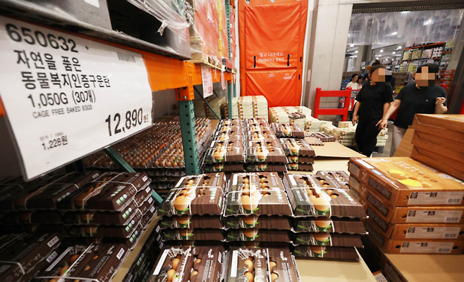 AI(조류인플루엔자)발 계란의 수급 불안이 계속되고 있다. 공급량 부족에 따른 ‘에그플레이션(계란+인플레이션)’으로 소비자들의 장바구니 부담이 가중 되고있는 가운데 16일 오후 코스트코홀세일 하남점에 계란을 구입 하려는 사람들로 붐비고 있다. 이 매장은 지난 15일 오후 계란 수급이 어려워 일시 품절됐다. [이충우 기자]