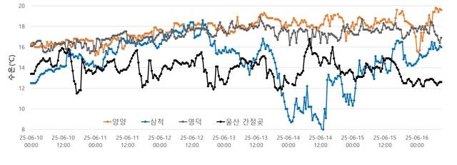 지난 16일부터 ‘냉수대’ 현상이 발생하고 있는 동해안 주요 연안 지역의 수온 추이. 국립수산과학원 제공