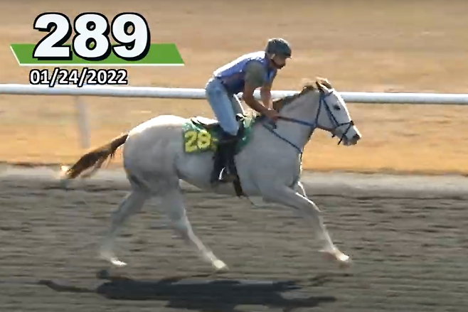 언더태크쇼 모습.[PETA 홈페이지 갈무리]