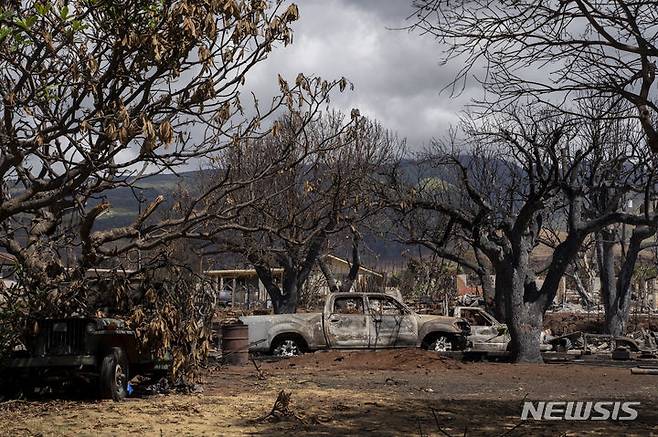 [라하이나=AP/뉴시스] 미 하와이주 라하이나의 말로 거리에 마우이 산불로 불에 탄 나무와 가옥들, 그을린 차량이 2023년 9월에도 그대로 남아 있다. 마우이 카운티의  라하이나 반대편 지역인 카히키누이에서 올해 6월 16일 또 다시 관목숲의 산불이 빠르게 번져 당국이 진화에 나섰다.  2025. 06. 17.