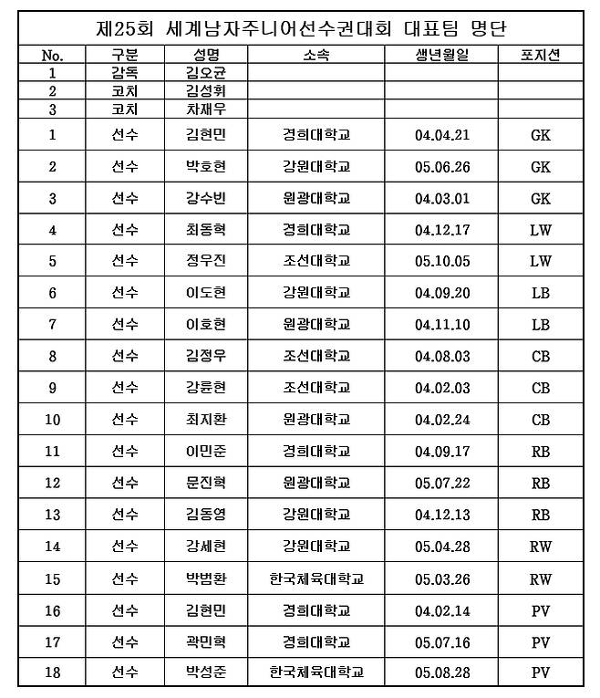 /사진=대한핸드볼협회