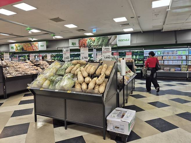 대구 서구 한 대형마트에서 배추 한 포기가 2790원에 판매되고 있으나, 진열된 물량은 3포기뿐이다. /장은희기자