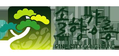 강릉시 브랜드 마크 '솔향 강릉'〈사진=강릉시청 누리집〉