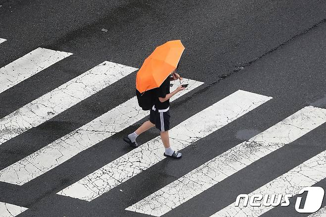 우산을 쓴 청소년이 스마트폰에 집중한 채 길을 건너고 있다.(사진은 기사 내용과 무관함) / 뉴스1 ⓒ News1뉴스1 ⓒ News1 공정식 기자