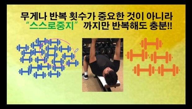 1717d72429e3175f.jpg 서울대 교수님 피셜 근육 늘리는 법 서울대 교수님 피셜 근육 늘리는 법...jpg 서울대 교수님 피셜 근육 늘리는 법...jpg