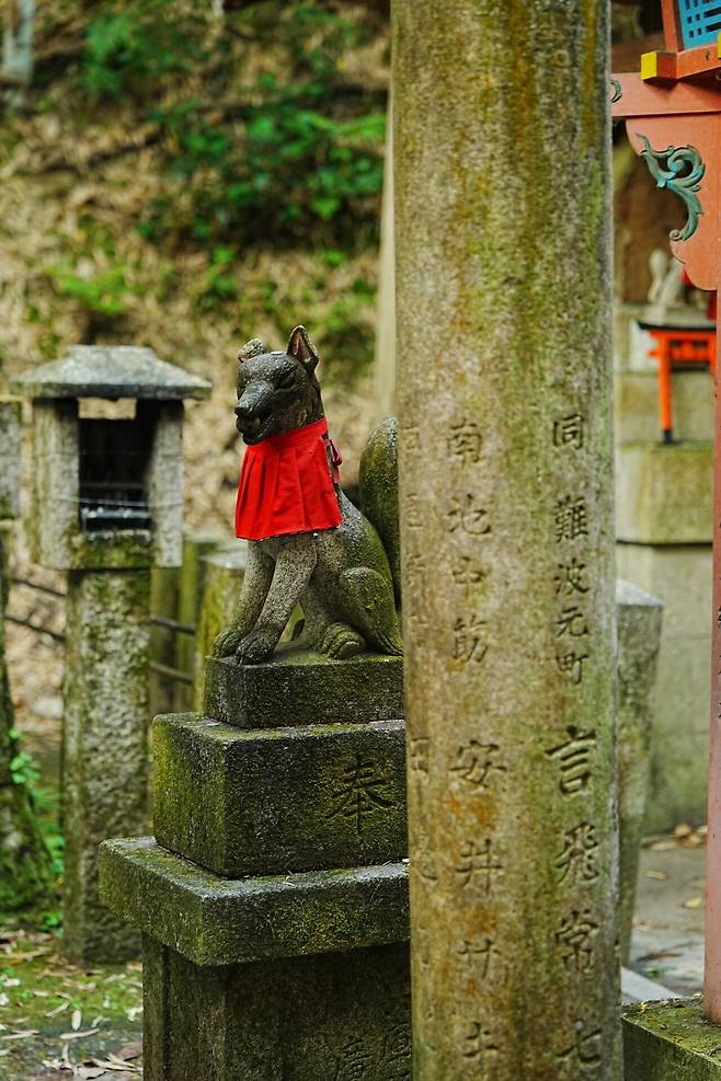 DSC02840_1.JPG (스압) 간사이 여행 사진