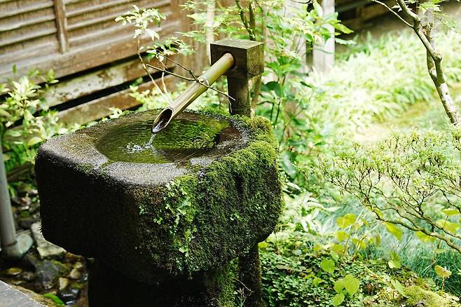 DSC03200(1).jpg (스압) 간사이 여행 사진