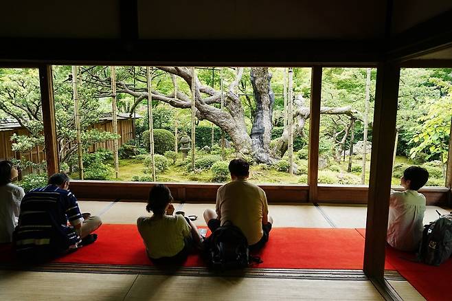 DSC03260.JPG (스압) 간사이 여행 사진