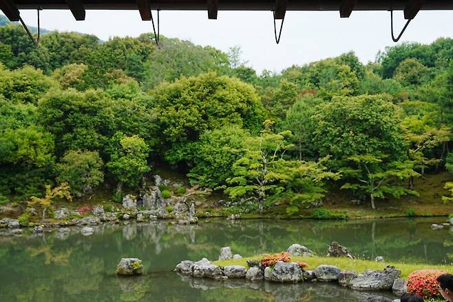 DSC03368.JPG (스압) 간사이 여행 사진