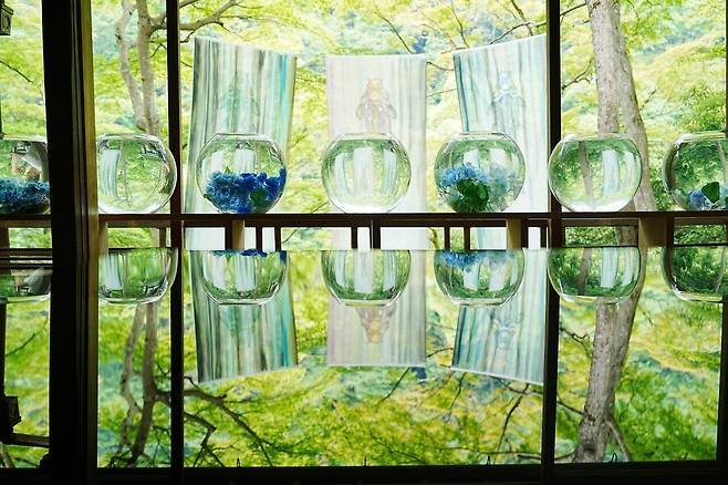 DSC03517.JPG (스압) 간사이 여행 사진