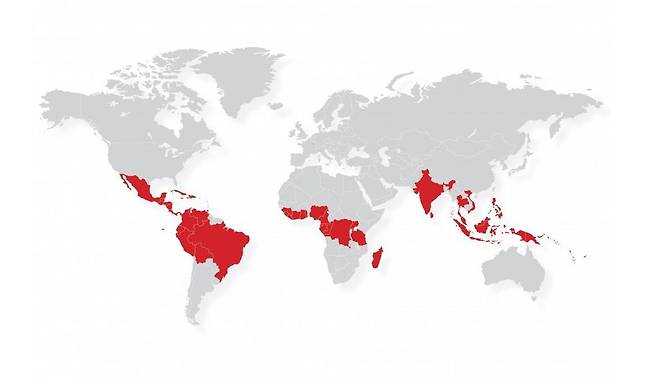 붉게 표시된 지역이 카카오 생산 국가들. 카카오 생산 국가 대부분은 기후 변화로 생산량 감소세에 진입했다 / 출처=국제코코아기구(ICCO)