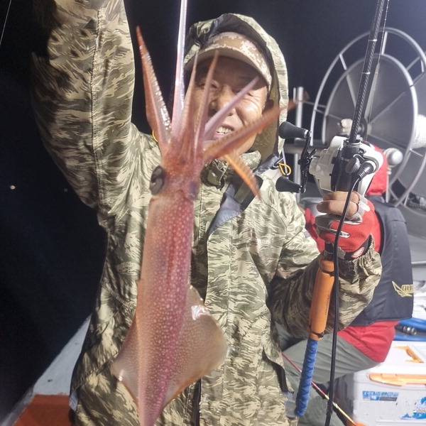 부산 앞바다에서 낚아 올린 한치.