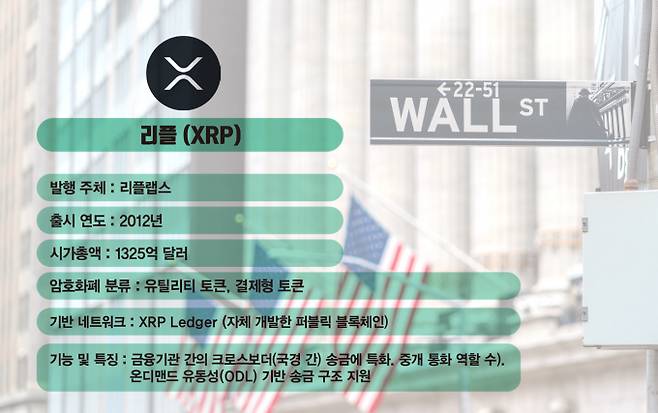 사진은 리플(XRP) 설명. /사진=김은옥 기자