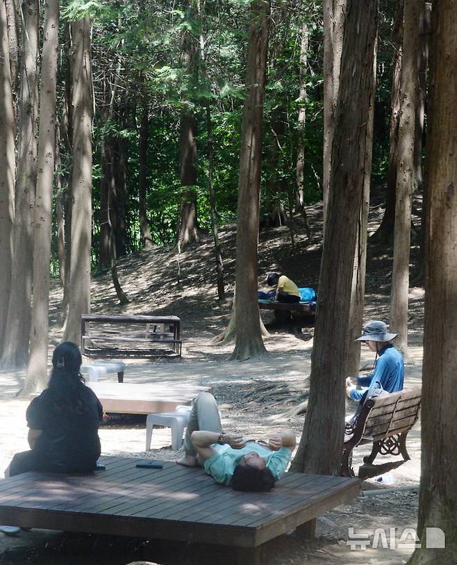 [전주=뉴시스] 김얼 기자 = 초여름 날씨가 이어지고 있는 11일 전북 전주시 건지산을 찾은 시민들이 나무 그늘아래에서 휴식을 취하고 있다. 2025.06.11. pmkeul@newsis.com