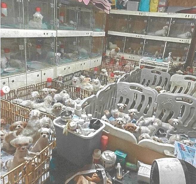 동물 학대 등이 일어난 화성시 소재 번식장 모습. (사진=수원지검 제공) *재판매 및 DB 금지