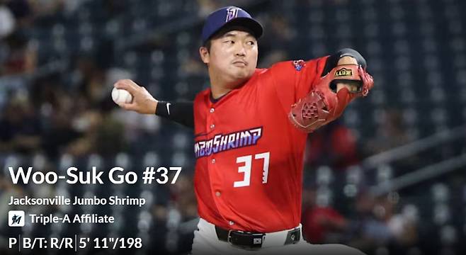 마이너리그 고우석 선수 페이지 캡처