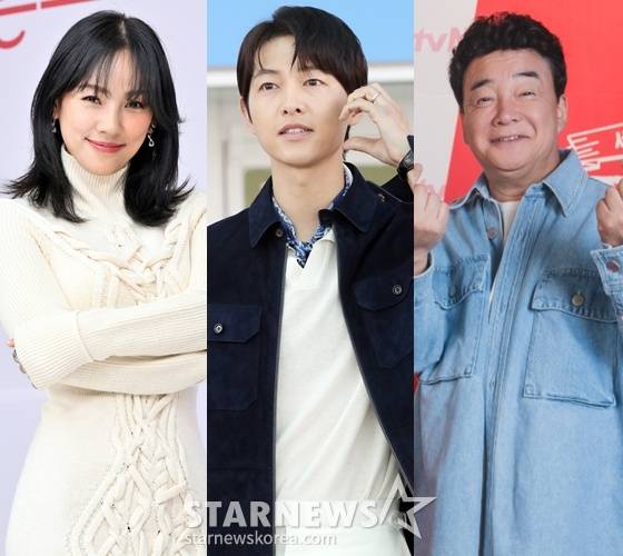 왼쪽부터 이효리, 송중기, 백종원 /사진=KBS, 스타뉴스, tvN