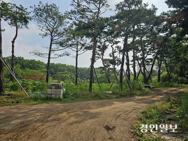 궁집 내부 둘레길 전경. 2025.6.17 남양주/이종우기자 ljw@kyeongin.com