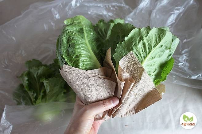 키친타월에 싸는 쌈채소
