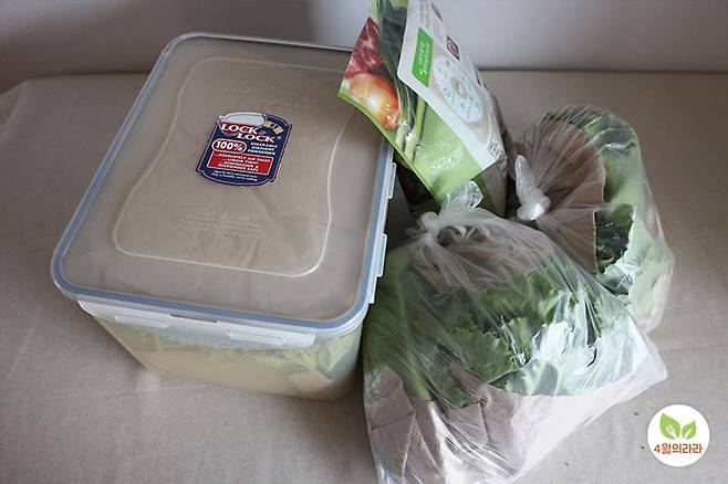 밀폐용기 지퍼백 비닐에 보관중인 쌈채소