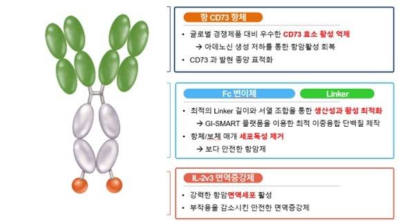 GI-108 단백질 구조 그림. (지아이이노베이션 제공)