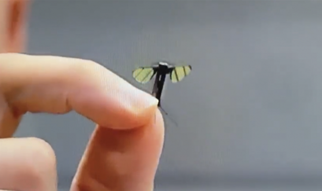 중국에서 개발한 모기 크기의 로봇. 중국 국방과학기술대학교가 공개한 영상.